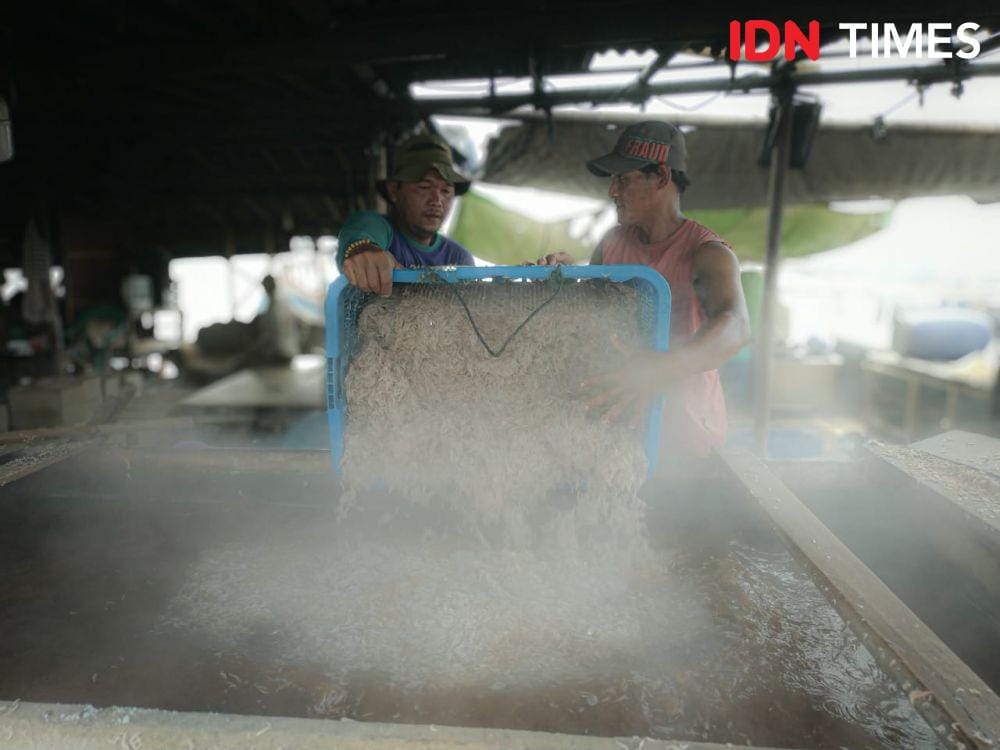 IDN Times/Proses Perebusan Udang Rebon (Axel Jo Harianja)