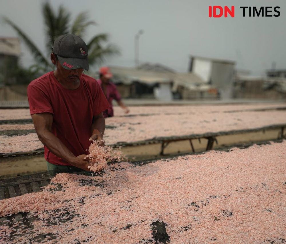 IDN Times/Proses Pengeringan Udang Rebon (Axel Jo Harianja)