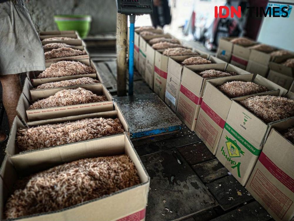 IDN Times/Udang Rebon Siap Kirim (Axel Jo Harianja)