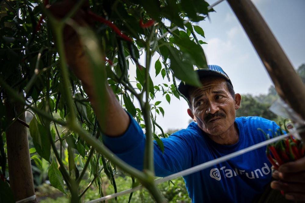 dok.Istimewa/Bhisma Adinaya Tani Group