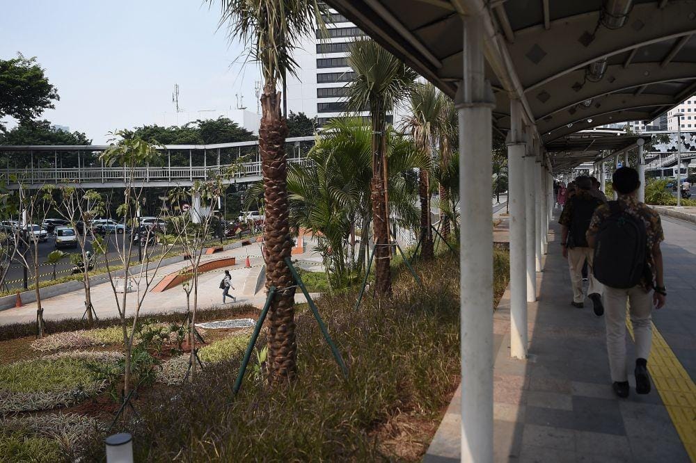 ANTARA FOTO/M Risyal Hidayat