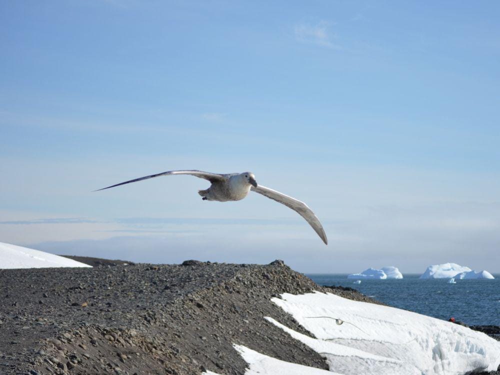 Pixabay.com/Edu_Ruiz