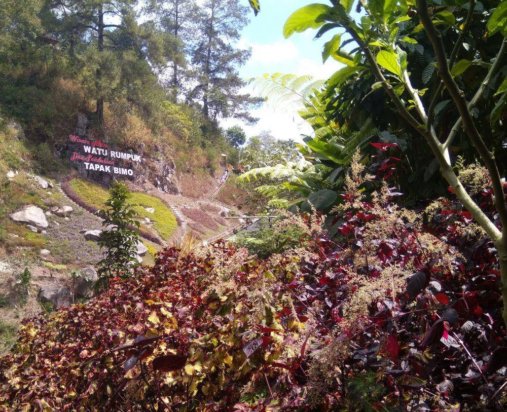 Lokasi wisata Watu Rumpuk di Desa Mendak, Kecamatan Dagangan, Kabupaten Madiun. IDN Times/Nofika Dian Nugroho