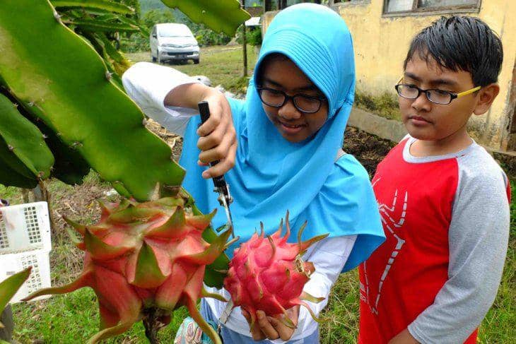 jatim.antaranews.com