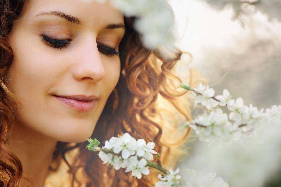 pixabay/FotografieLink