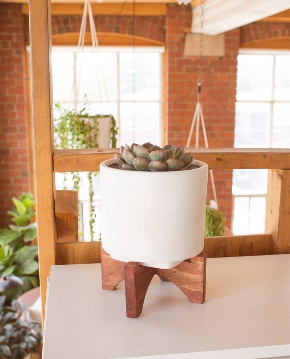 instagram.com/thesorrygirls