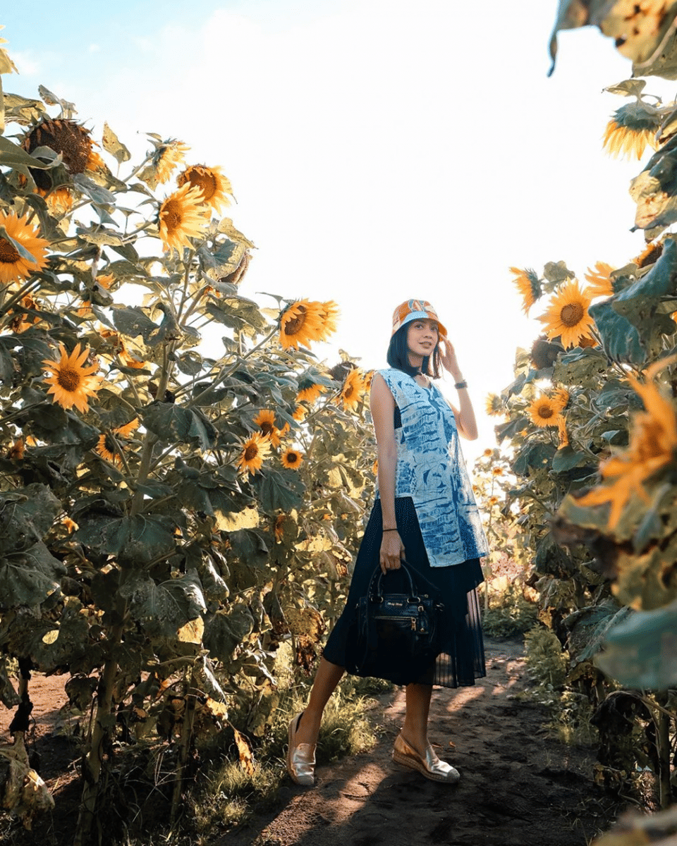 instagram.com/aglaartalidia