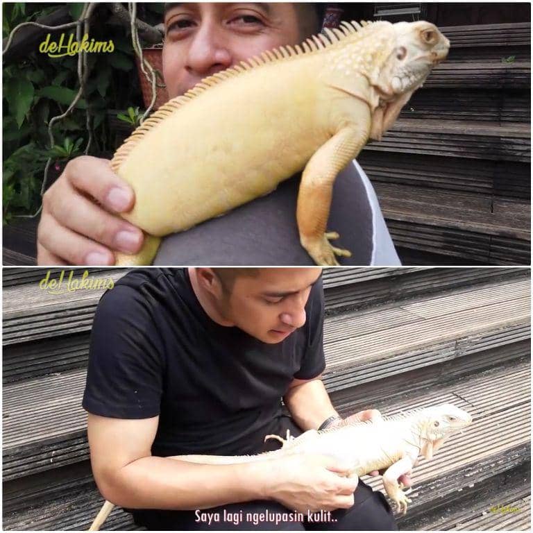 youtube.com/deHakims