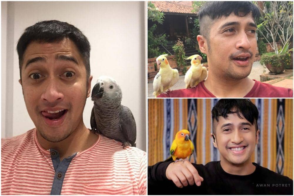 instagram.com/irfanhakim75/