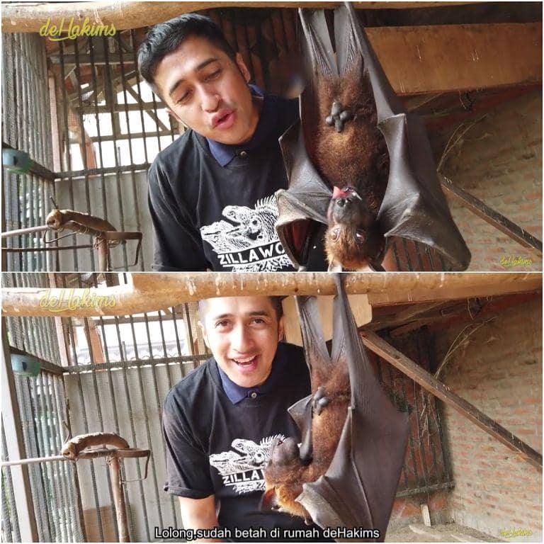 youtube.com/deHakims