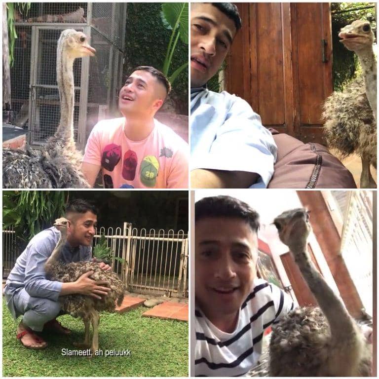 youtube.com/deHakims