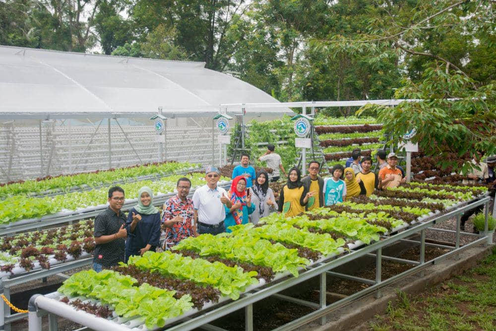 sarofudin.blogspot.com