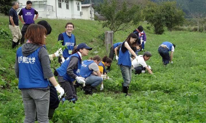 usjapantomodachi.org