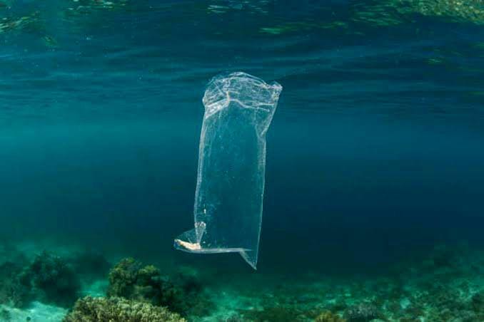 timesofindia.indiatimes.com