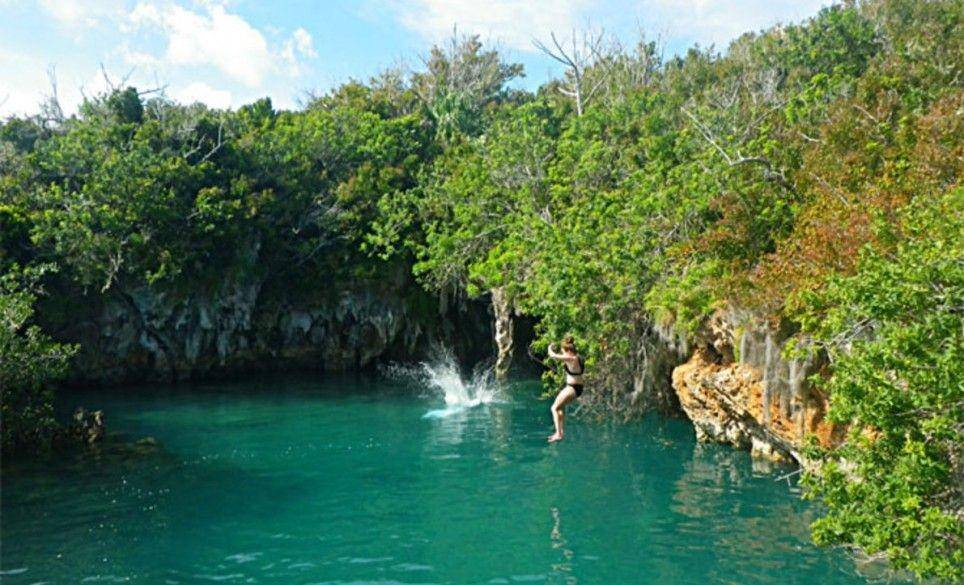 gotobermuda.com