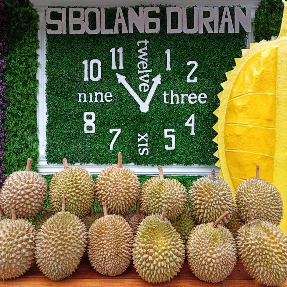 instagram.com/sibolangdurian