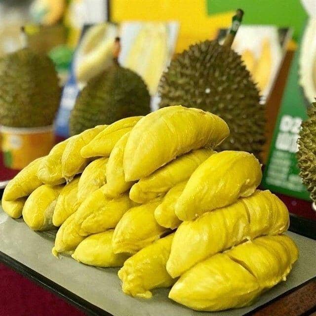 instagram.com/ucok.durian.medan