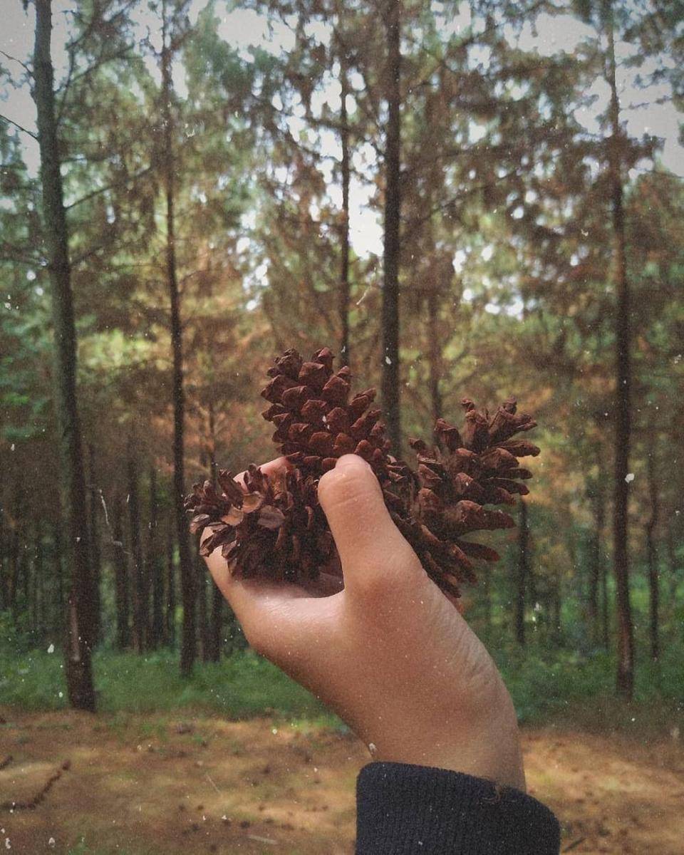 instagram.com/lubnaf_sm