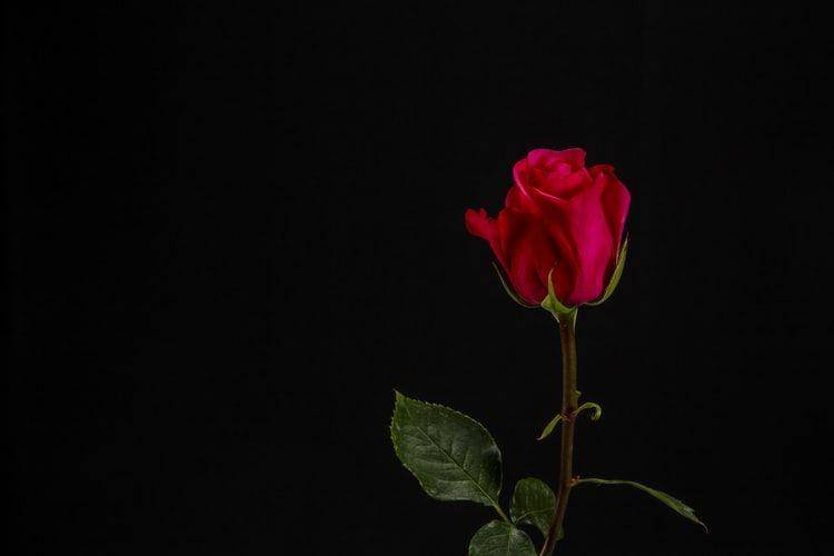 Unsplash/Doug Kelley