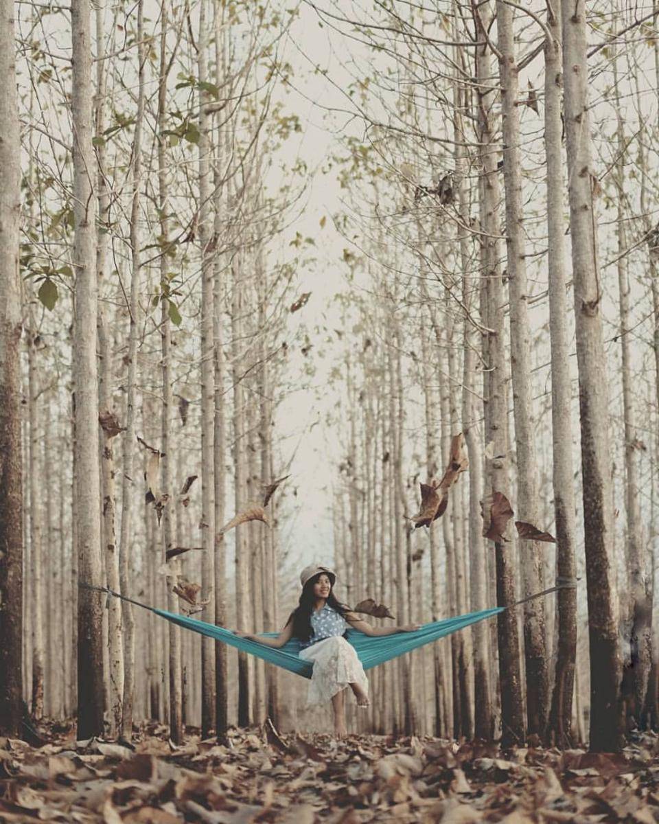 Instagram.com/lingkarjogjakarta