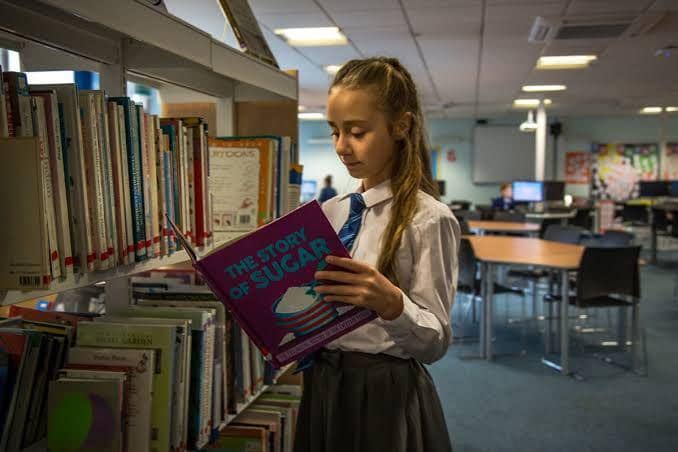 chaucer.sheffield.sch.uk