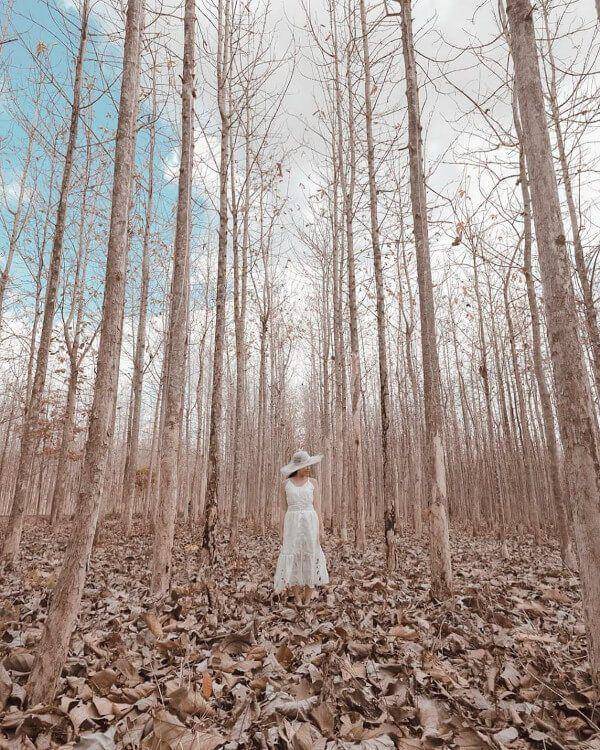 instagram.com/xiaolingchan