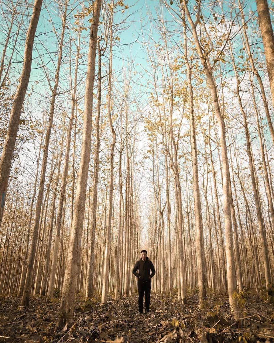 picdeer.org/wisataunik_jogja