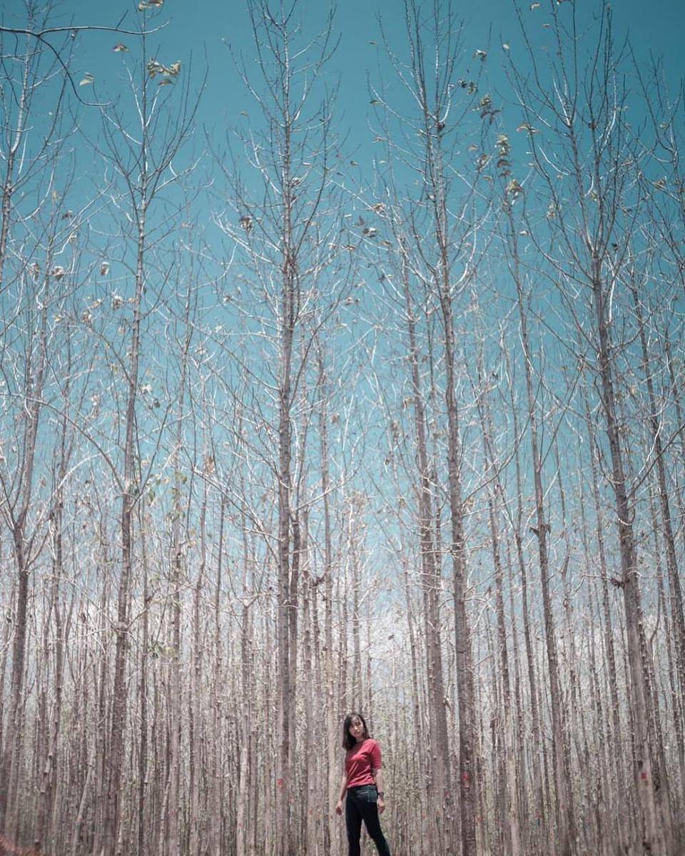 instagram.com/cynthiarizky