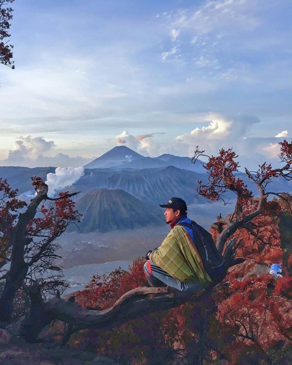 instagram.com/sumud23