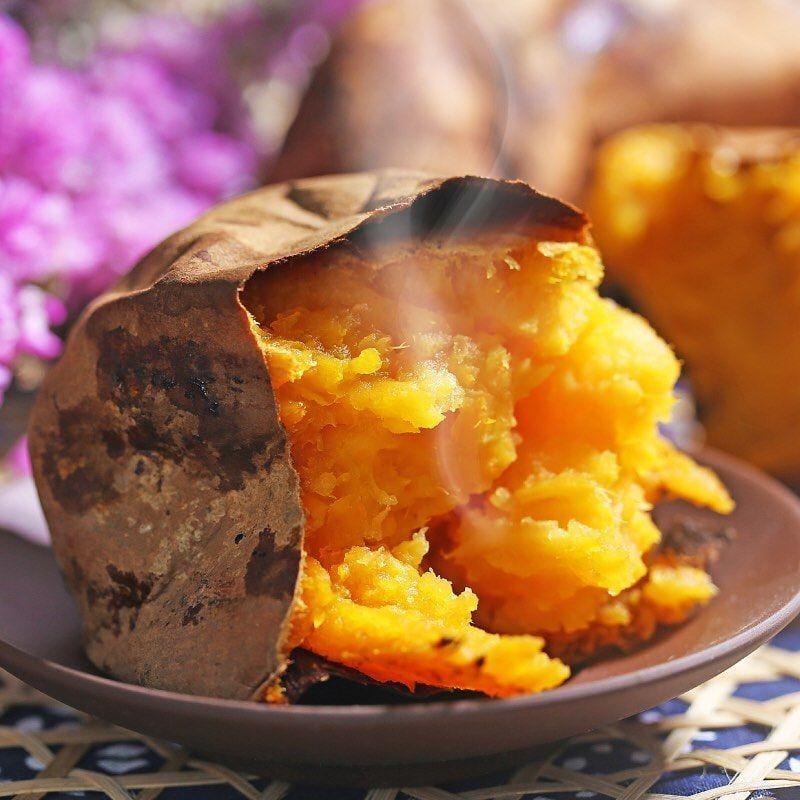 instagram.com/worldfarm.id