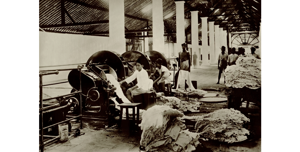 digitalcollections.universiteitleiden.nl