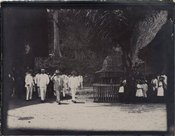 digitalcollections.universiteitleiden.nl