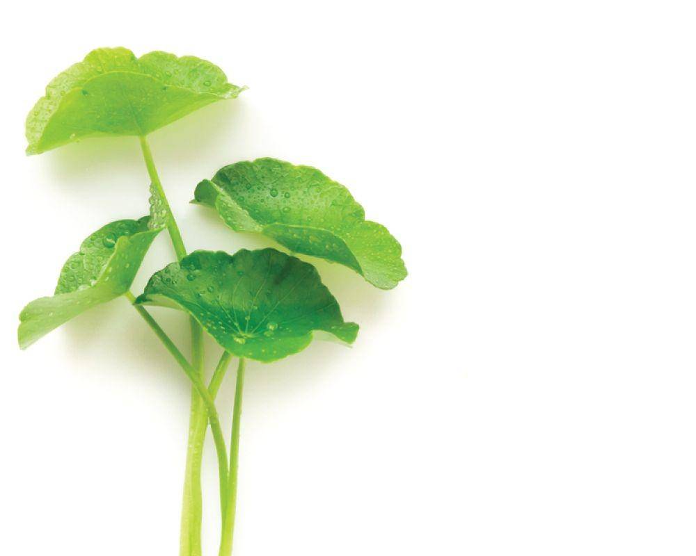 e-naturalne.pl