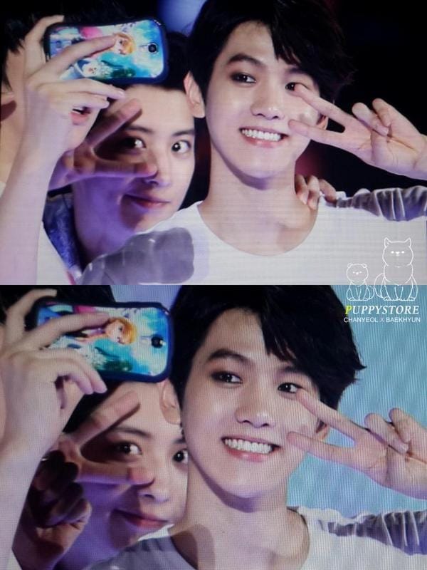 twitter.com/puppystore_1992