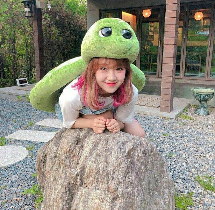 instagram.com/weki_meki