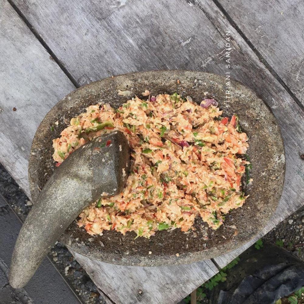 Instagram.com/fitrianisamidan