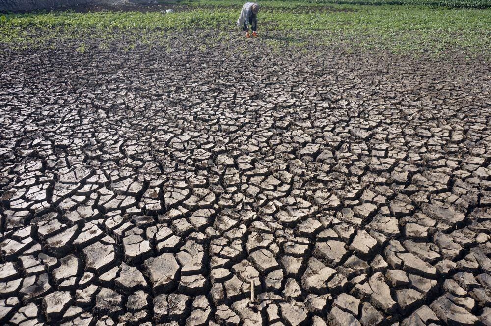 ANTARA FOTO/Destyan Sujarwoko