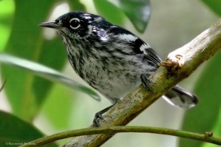 blog.nationalgeographic.org