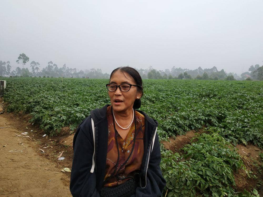 IDN Times/Debbie Sutrisno