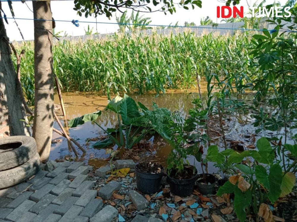 IDN Times//Fariz Fardianto