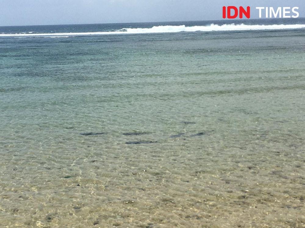 IDN Times/Imam Rosidin