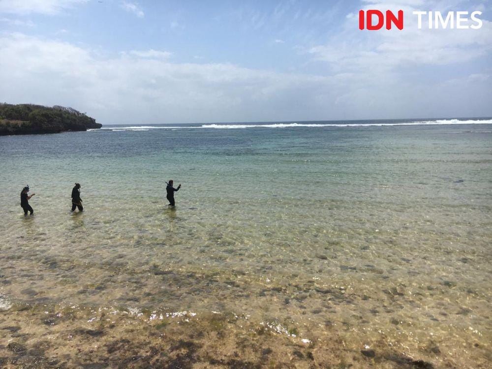 IDN Times/Imam Rosidin