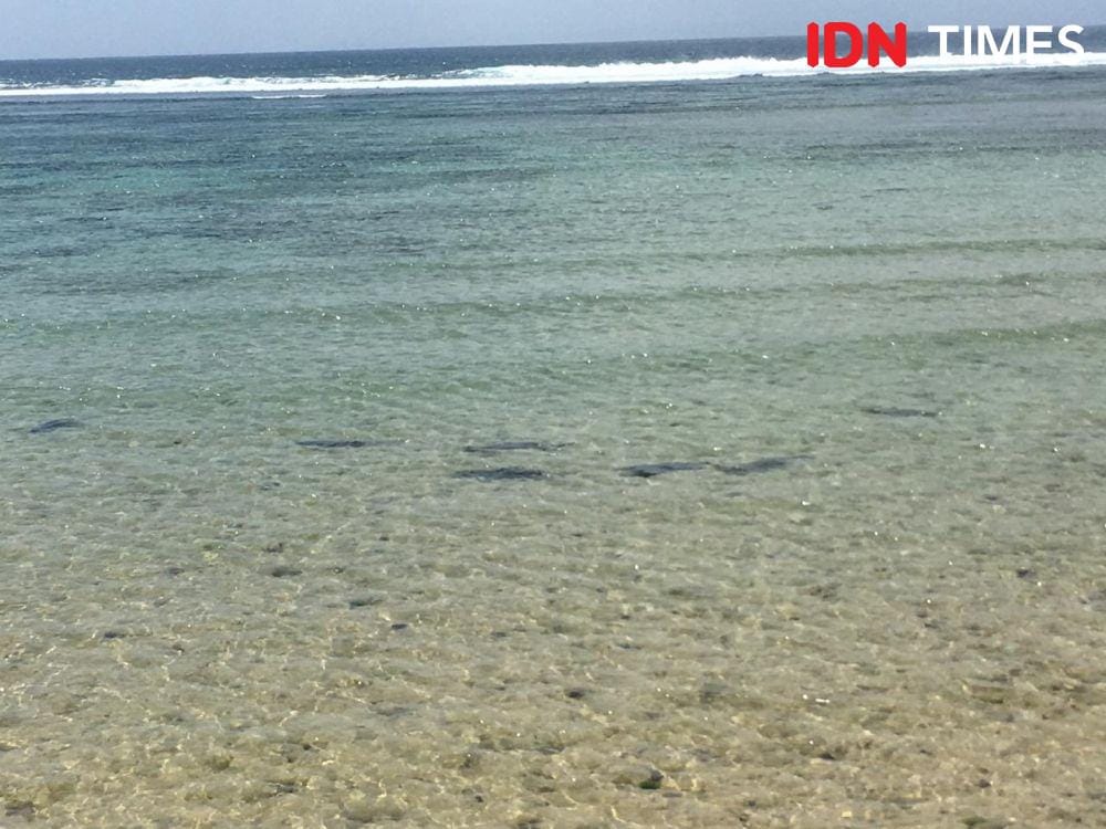 IDN Times/Imam Rosidin