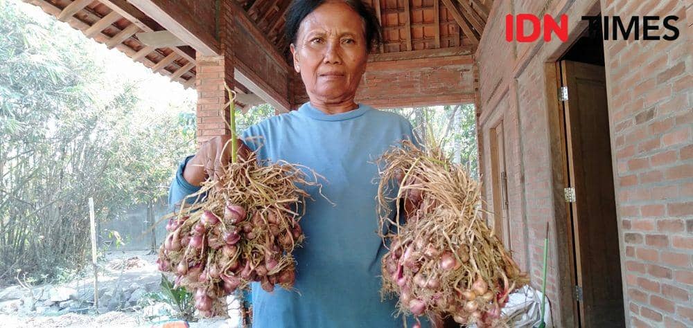 IDN Times/Daruwaskita