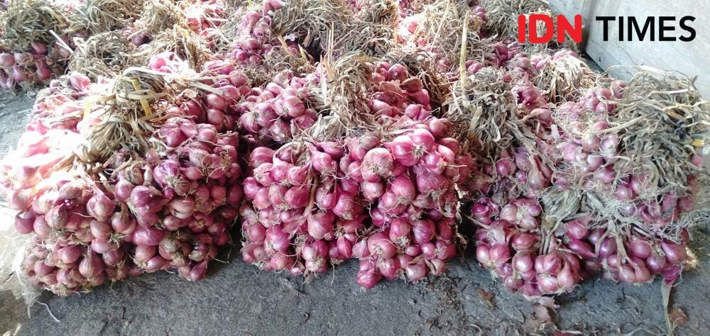 IDN Times/Daruwaskita