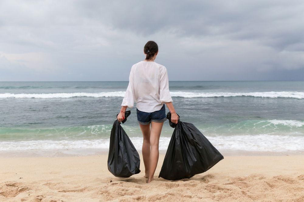 Shutterstock/triocean