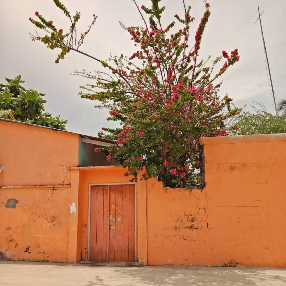 dok. pribadi/Aditya Bagas