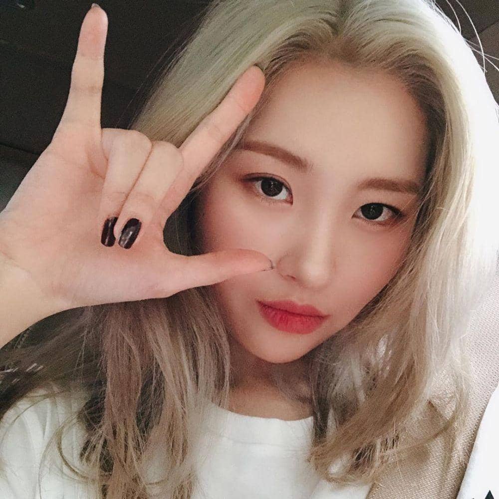 instagram.com/miyayeah