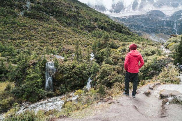 Freepik.com/kitzcorner