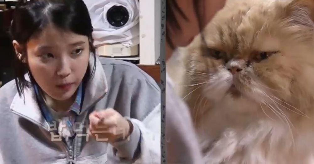 youtube.com/JTBC Entertainment